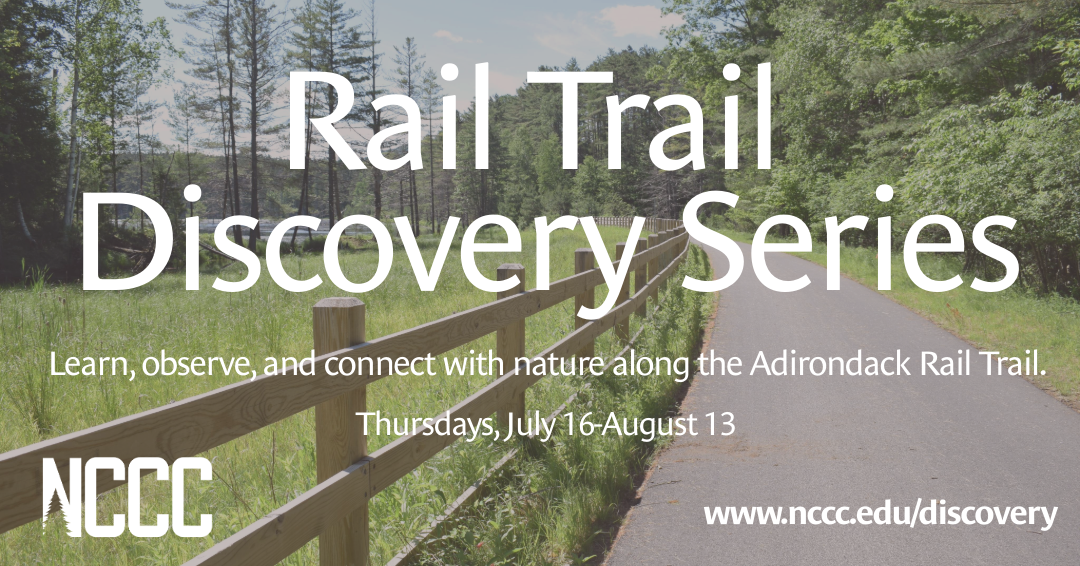 The Adirondack Rail Trail set against a backdrop of tress and water with the words Rail Trail Discovery Series, learn, observe and connect with nature along the Adirondack Rail Trail. Thursdays from July 16 to August 13.